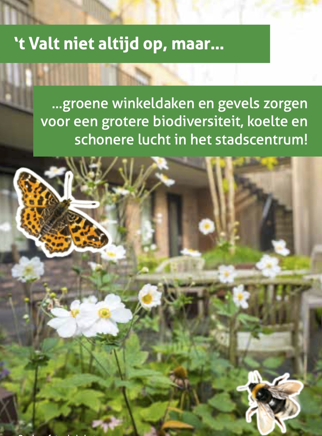 Stadscentrum groene winkeldaken