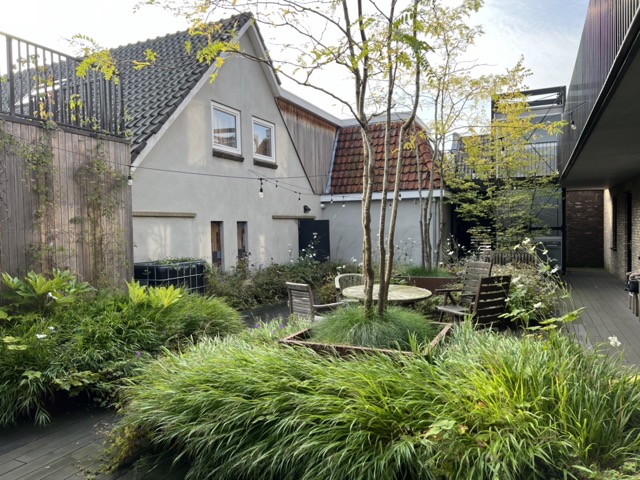 Daktuin winkel