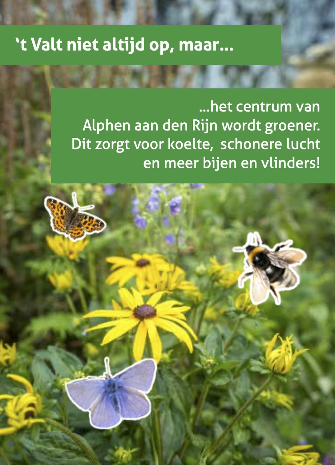 Stadscentrum biodiversiteit