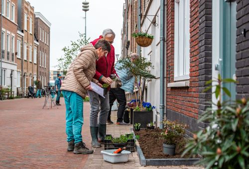 Buren leggen samen groene gevels aan