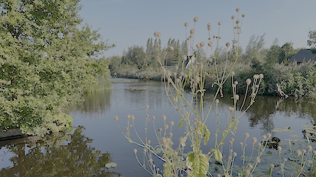 Heempad wandeling najaar