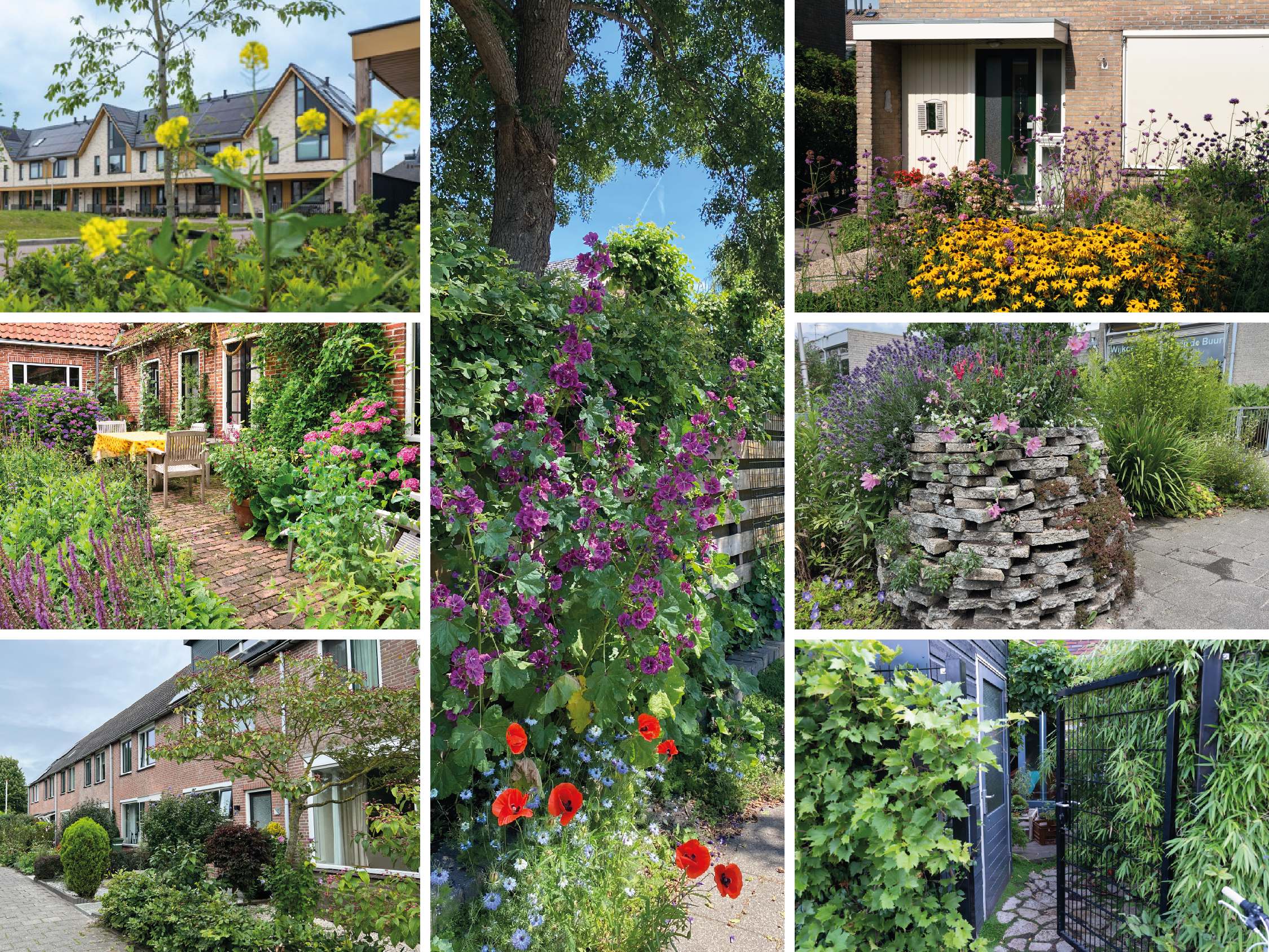 Voorbeelden van voortuinen met planten van inwoners
