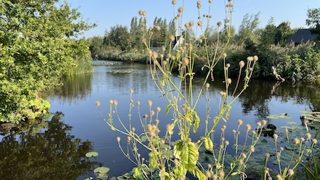 Heempad Boskoop