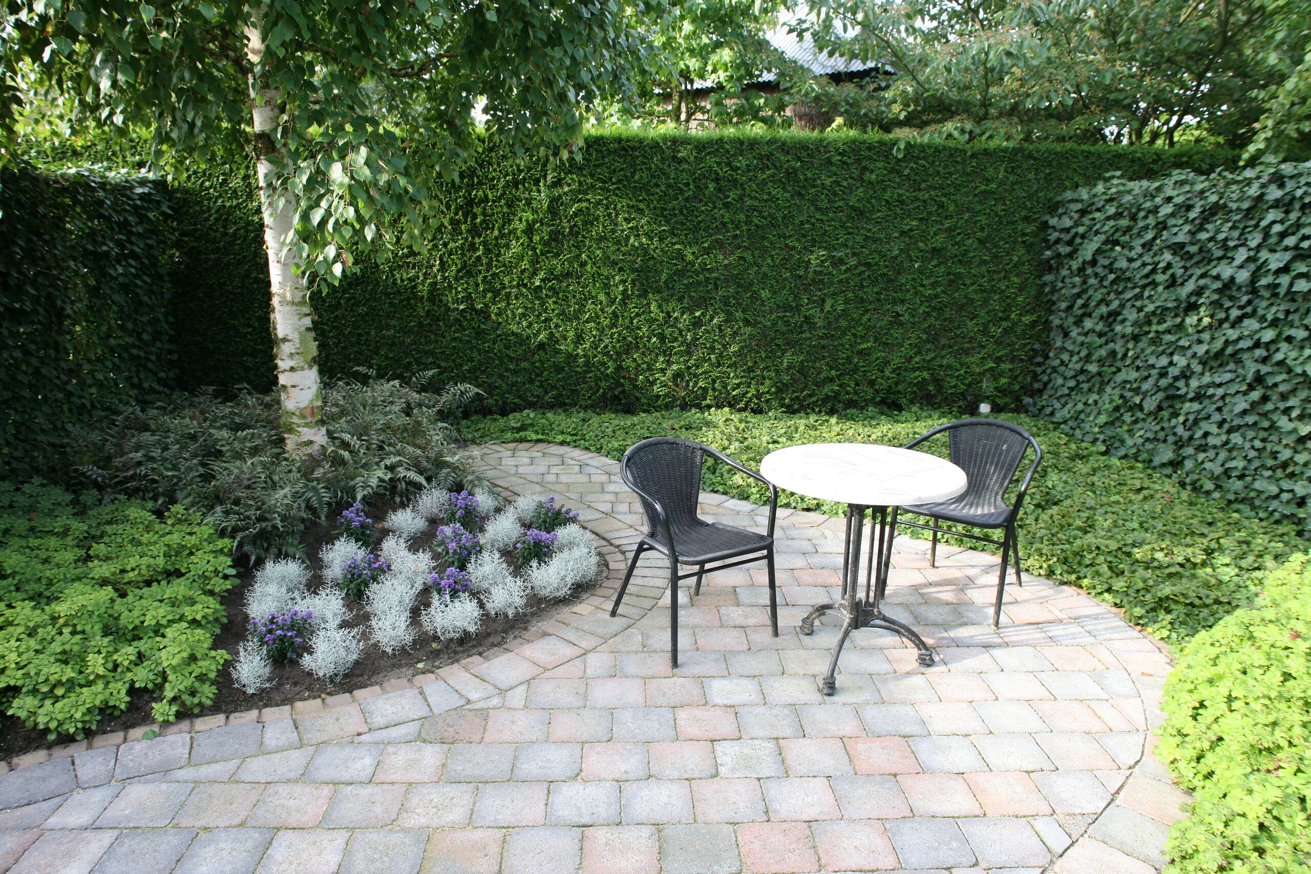 Tuin met stadsboom