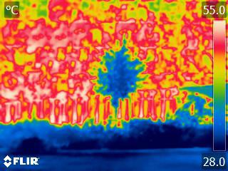 Temperatuur boom en gebouw