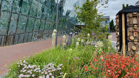 Groen Stadscentrum Alphen aan den Rijn