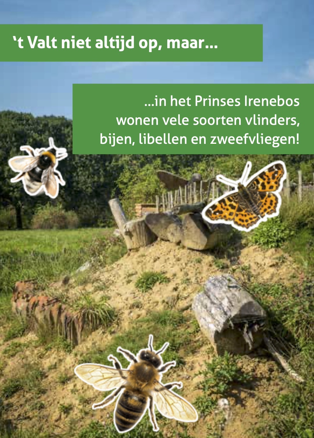 Prinses Irenebos bijenheuvel