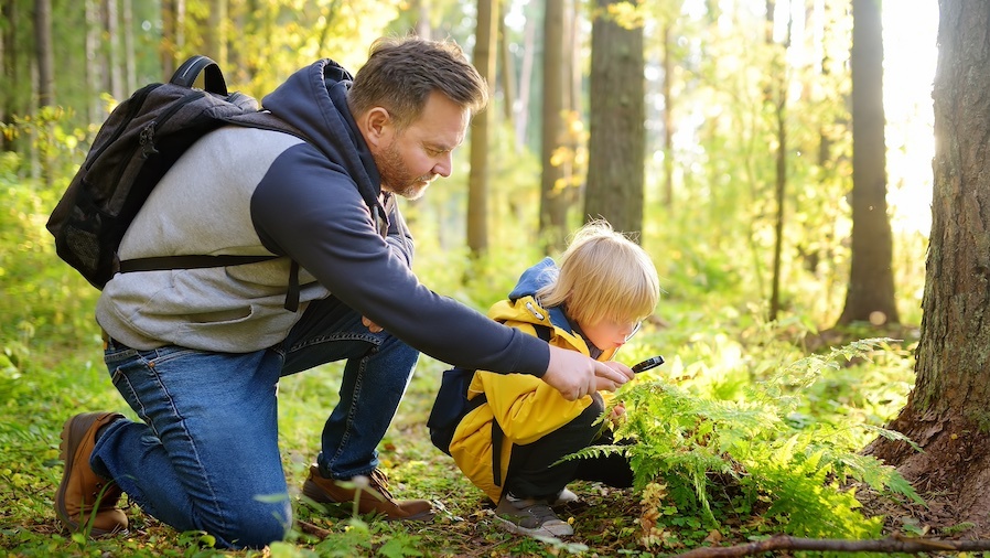 Ontdek de natuur met IVN