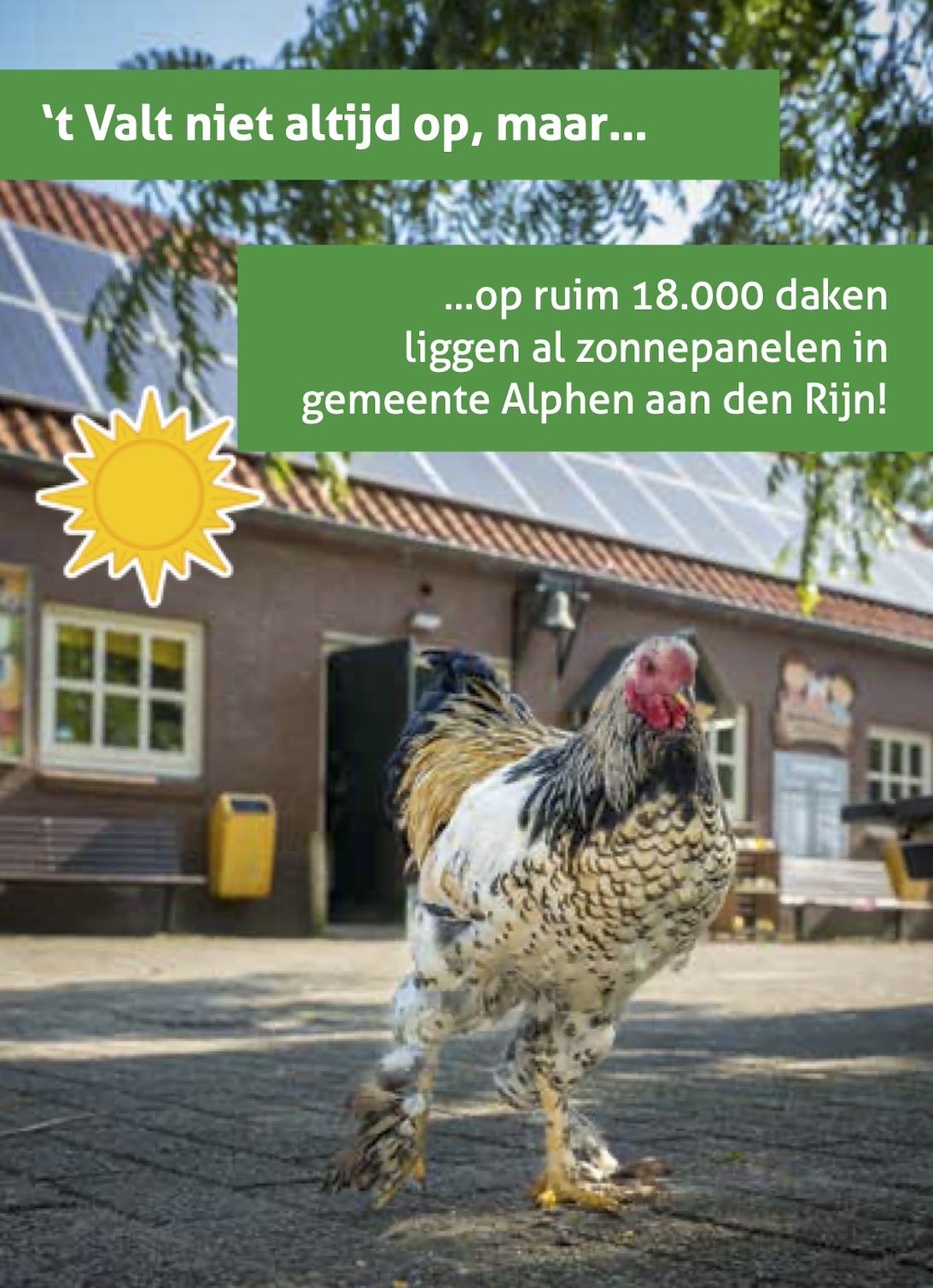 Zonnepanelen