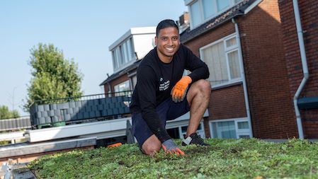 Groen dak in Alphen aan den Rijn