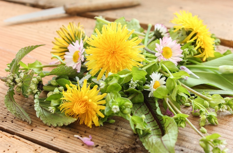 Salade wilde bloemen onkruid web